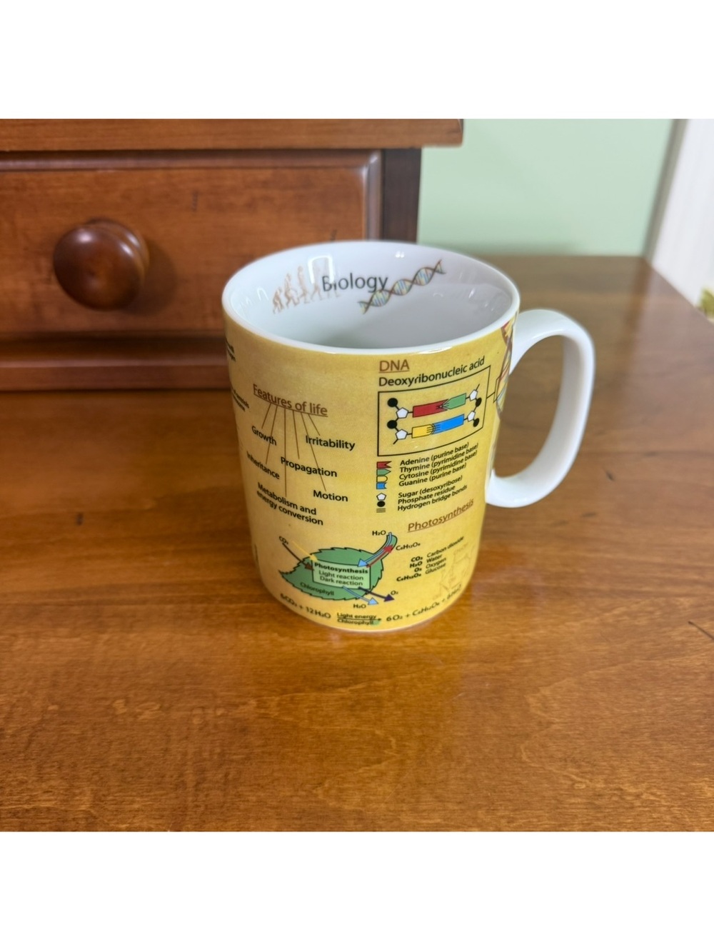 Konitz biology science coffee mug DNA evolution photosynthesis teacher cup 16 oz